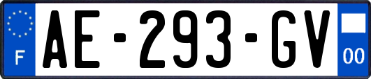 AE-293-GV