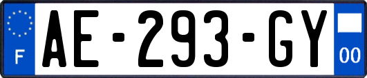 AE-293-GY