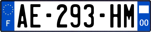 AE-293-HM