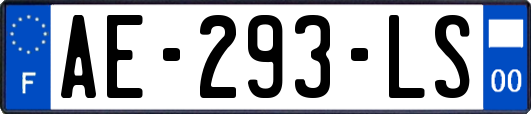 AE-293-LS