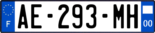 AE-293-MH