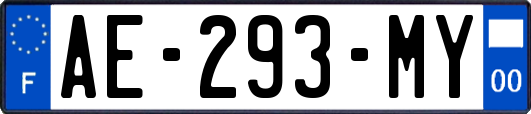 AE-293-MY