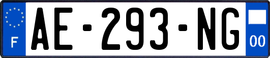 AE-293-NG