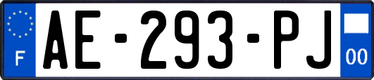 AE-293-PJ