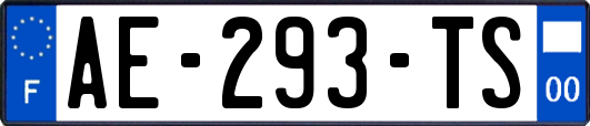 AE-293-TS