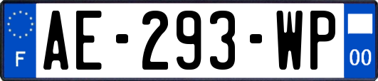 AE-293-WP