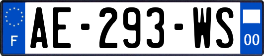 AE-293-WS