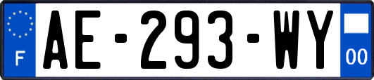 AE-293-WY