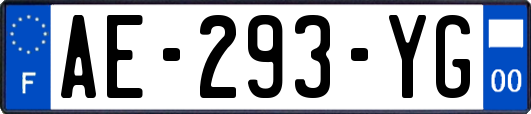 AE-293-YG