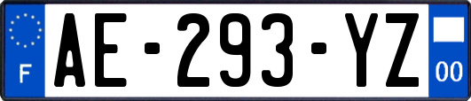 AE-293-YZ