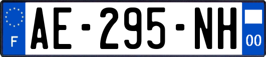 AE-295-NH