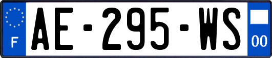 AE-295-WS