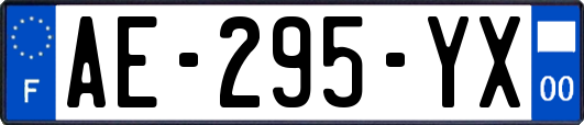 AE-295-YX