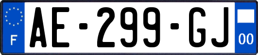 AE-299-GJ