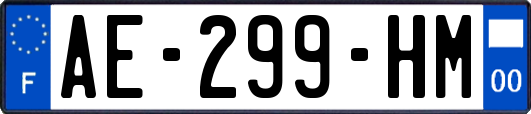 AE-299-HM