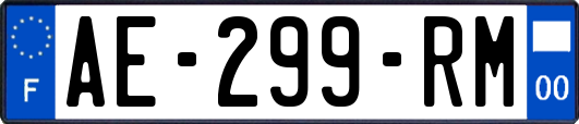 AE-299-RM