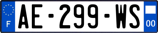 AE-299-WS