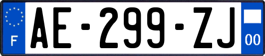 AE-299-ZJ