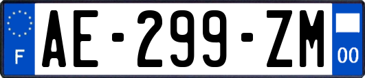 AE-299-ZM