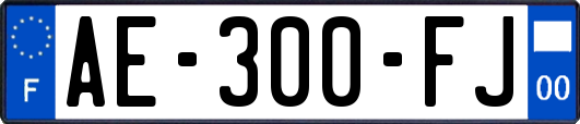 AE-300-FJ