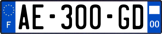 AE-300-GD