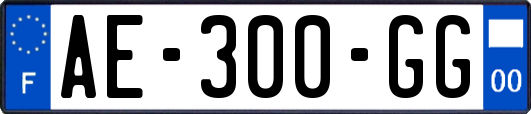 AE-300-GG