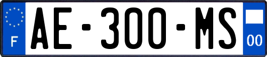 AE-300-MS