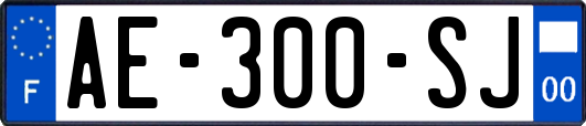 AE-300-SJ