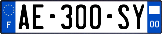 AE-300-SY