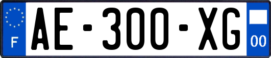 AE-300-XG