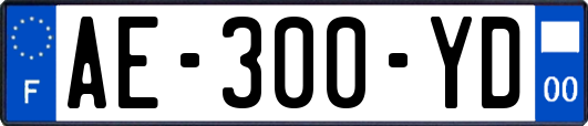 AE-300-YD