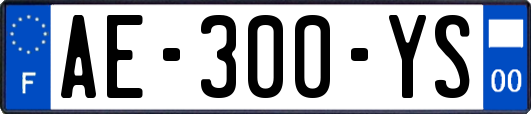 AE-300-YS