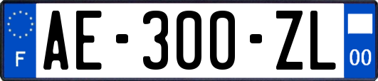 AE-300-ZL