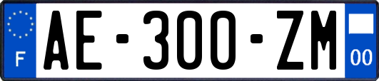 AE-300-ZM