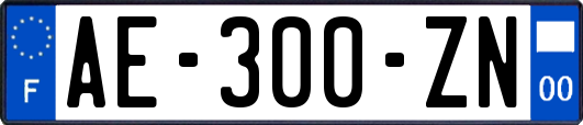 AE-300-ZN