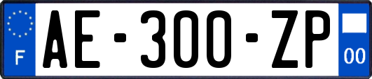 AE-300-ZP