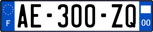 AE-300-ZQ