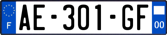 AE-301-GF