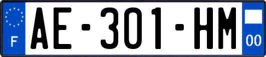 AE-301-HM