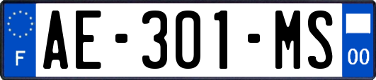 AE-301-MS
