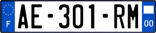 AE-301-RM