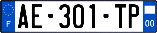 AE-301-TP