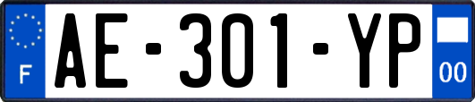 AE-301-YP