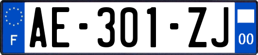 AE-301-ZJ