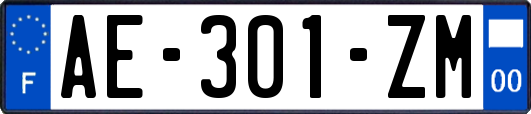 AE-301-ZM