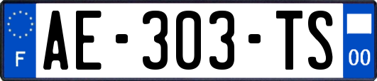 AE-303-TS