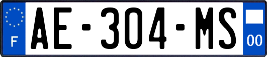 AE-304-MS