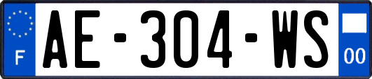 AE-304-WS