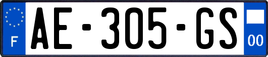 AE-305-GS