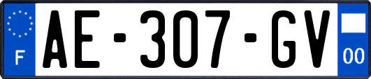 AE-307-GV